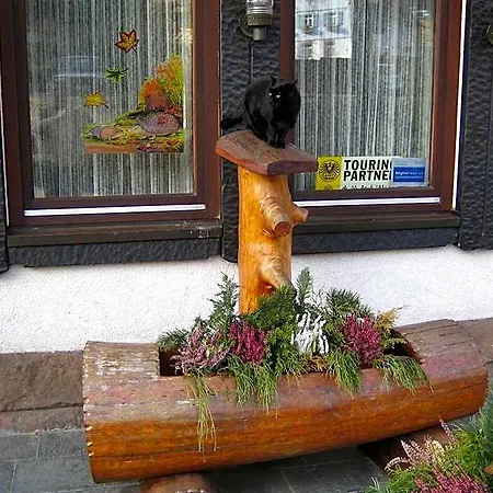Отель Rappen